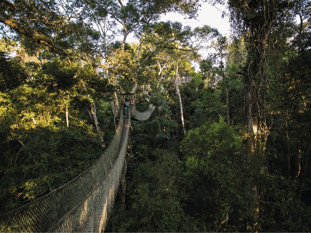 Inkaterra Reserva Amazonica Puerto Maldonado Buitenkant foto